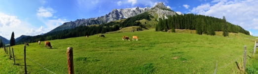 Hochkönig-Panorama von der Dientalm